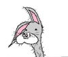 iaskedformustard Avatar