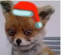 loopz Avatar