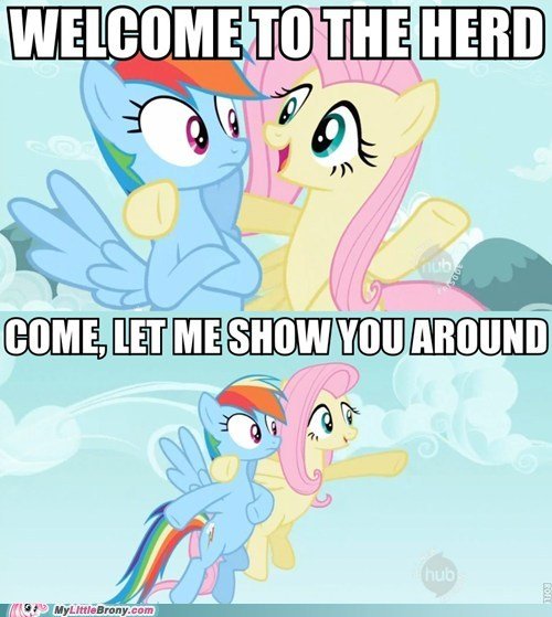 We+ve+been+expecting+you+_53194a3d752eec