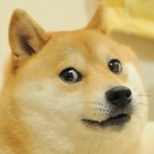 Wow+such+socks+10+10+blackness+_907f4cc9b7817d628eb445f7d3d7490d.jpg