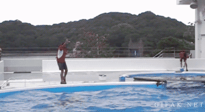 Catch_3d7324_5415462.gif
