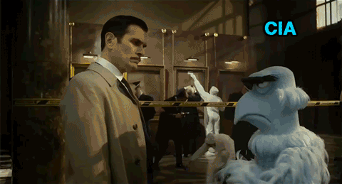 CIA Vs Interpol CIA Vs Interpol. Source: The Muppets subscribe for more The Muppets are a group of puppet characters known for an absurdist, burlesque and self-referential styl