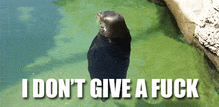 classic animal gif comp. welcome animal lovers have a nice day!.. WEASEL!