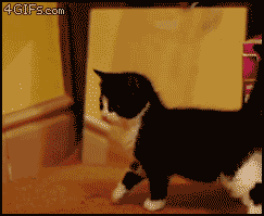 Cute comp. .. Now you see what we have here; is front page content.