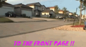 http://new4.fjcdn.com/gifs/Geese_768cb4_1694130.gif