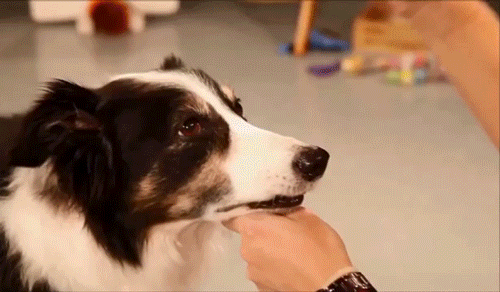 Gif Dump - Part 36. Wtf Japan.. source is Mirror's Edge. Previous dumps 35: /Gif+dump+part+35+asian+japanese/funny-gifs/5555182 34: /Gif+dump+part+34/funny-gifs