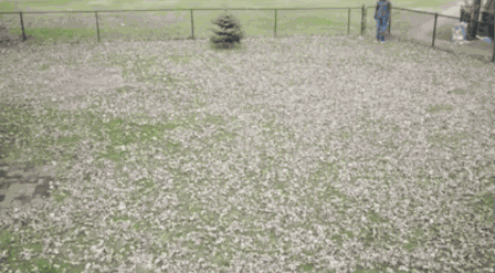 Gif Dump - Part 36. Wtf Japan.. source is Mirror's Edge. Previous dumps 35: /Gif+dump+part+35+asian+japanese/funny-gifs/5555182 34: /Gif+dump+part+34/funny-gifs