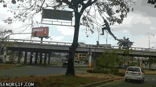 Gif Dump - Part 24. They are all gif's! The 'play-the-gif' is a new feature! Previous jumps: 23: /Gif+dump+part+23/funny-gifs/5483181/ 22: /Gif+dump+part+22/fun