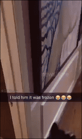 Gif Dump - Part 22. Previous dumps: 22: /Gif+dump+part+22/funny-gifs/5466544/ 21: /Gif+dump+part+21/funny-gifs/5461505/ 20: /Gif+dump+part+20/funny-gifs/5457947