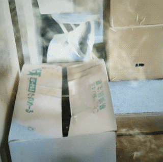 Gif Dump - Part 27. Woop woop! Happy Easter gais! Whoops, seems that I can add a comment, but not remove a gif.. Previous dumps: 26: /Gif+dump+part+26/funny-gif