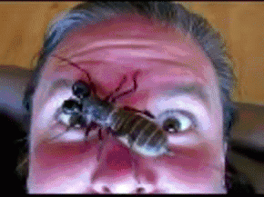 Gif Dump - Part 31. Let the weekend begin! If you don't get this then you aren't from the '90's. Previous dumps: 30: /Gif+dump+part+30+huge/funny-gifs/5519457/ 