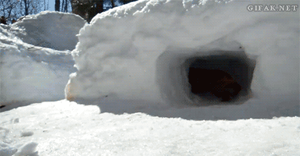 Gif Dump - Part 25. Previous dumps: 24: /Gif+dump+part+24/funny-gifs/5487487/ 23: /Gif+dump+part+23/funny-gifs/5483181/ 22: /Gif+dump+part+22/funny-gifs/5466544