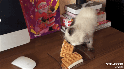 Gif Dump - Part 28. Sorry for the many pussy this time, I'll do more weird japan sht the next time! Previous dumps: 27: /Gif+dump+part+27/funny-gifs/5504396/ 26