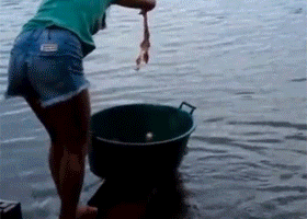 Gif Dump - Part 11!!1!. Here we go again!.