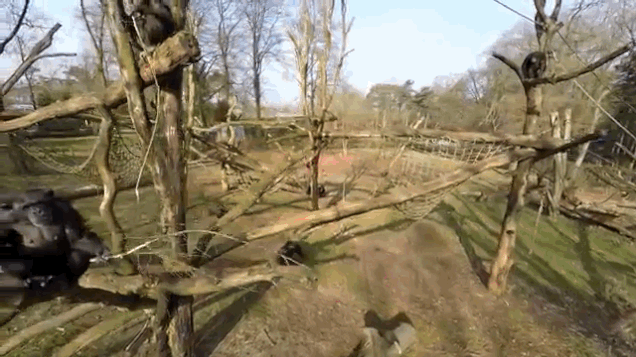 Gif Dump - Part 30 (huge). Got some request? Maybe some weird Japanese sht next time? Previous dumps: 29: /Gif+dump+part+29/funny-gifs/5511566/ 28: /Gif+dump+pa