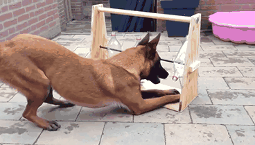 Gif Dump - Part 26. Previous dumps: 25: /Gif+dump+part+25/funny-gifs/5490399/ 24: /Gif+dump+part+24/funny-gifs/5487487/ 23: /Gif+dump+part+23/funny-gifs/5483181