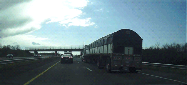 Gif Dump - Part 32. .. Monsoon be like