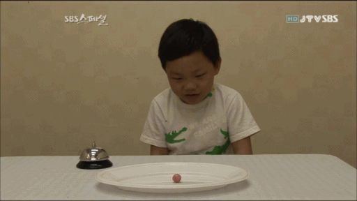 Gif Dump - Part 25. Previous dumps: 24: /Gif+dump+part+24/funny-gifs/5487487/ 23: /Gif+dump+part+23/funny-gifs/5483181/ 22: /Gif+dump+part+22/funny-gifs/5466544