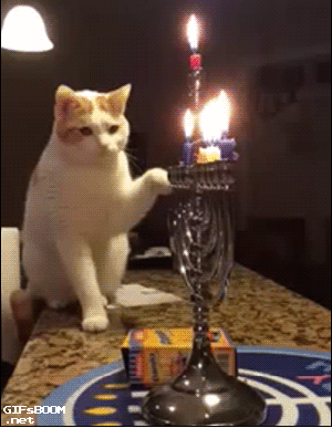 Gif_5533a9_5414282.gif