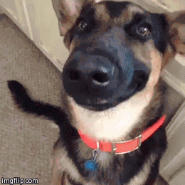 Gif Dump - Part 37. Previous dumps 36: /Gif+dump+part+36/funny-gifs/5562609/ 35: /Gif+dump+part+35+asian+japanese/funny-gifs/5555182 34: /Gif+dump+part+34/funny