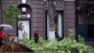 Gif Dump - Part 29. Previous dumps: 28: /Gif+dump+part+28/funny-gifs/5507450/ 27: /Gif+dump+part+27/funny-gifs/5504396/ 26: /Gif+dump+part+26/funny-gifs/5496923