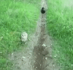 Gif Dump - Part 24. They are all gif's! The 'play-the-gif' is a new feature! Previous jumps: 23: /Gif+dump+part+23/funny-gifs/5483181/ 22: /Gif+dump+part+22/fun