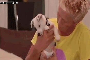 Gif Dump - Part 24. They are all gif's! The 'play-the-gif' is a new feature! Previous jumps: 23: /Gif+dump+part+23/funny-gifs/5483181/ 22: /Gif+dump+part+22/fun