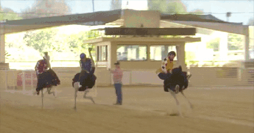 Gif Dump - Part 29. Previous dumps: 28: /Gif+dump+part+28/funny-gifs/5507450/ 27: /Gif+dump+part+27/funny-gifs/5504396/ 26: /Gif+dump+part+26/funny-gifs/5496923