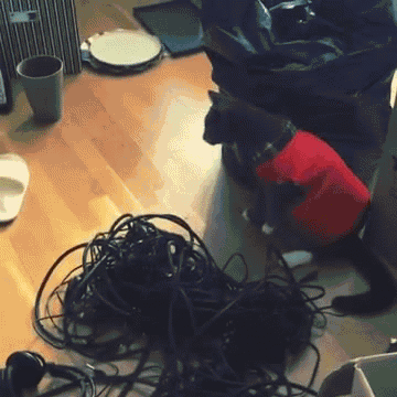 Gif Dump - Part 30 (huge). Got some request? Maybe some weird Japanese sht next time? Previous dumps: 29: /Gif+dump+part+29/funny-gifs/5511566/ 28: /Gif+dump+pa