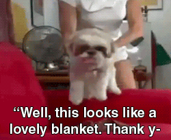 Gif Dump - Part 22. Previous dumps: 22: /Gif+dump+part+22/funny-gifs/5466544/ 21: /Gif+dump+part+21/funny-gifs/5461505/ 20: /Gif+dump+part+20/funny-gifs/5457947