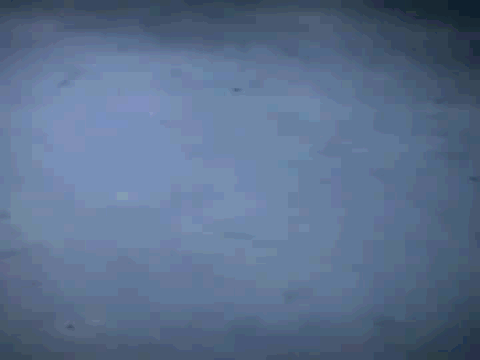 Gif Dump - Part 36. Wtf Japan.. source is Mirror's Edge. Previous dumps 35: /Gif+dump+part+35+asian+japanese/funny-gifs/5555182 34: /Gif+dump+part+34/funny-gifs