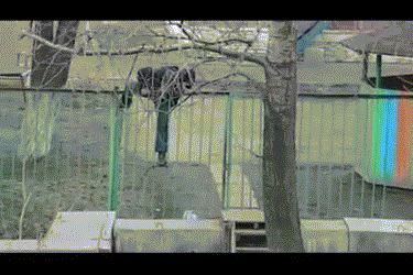 Gif Dump - Part 32. .. Monsoon be like