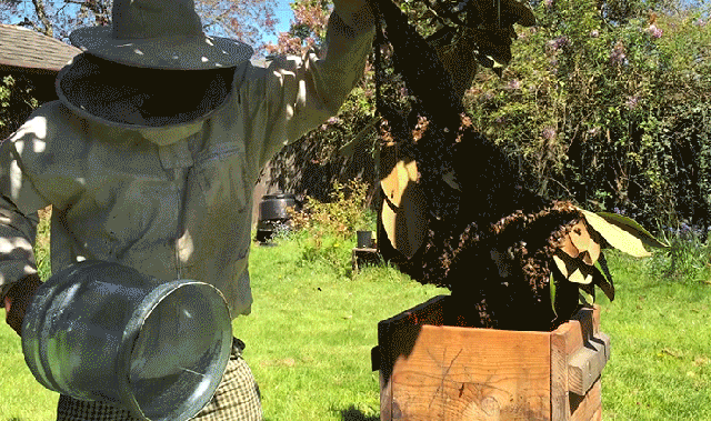 Gif Dump - Part 32. .. Monsoon be like