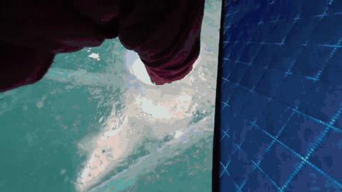 Gif Dump - Part 28. Sorry for the many pussy this time, I'll do more weird japan sht the next time! Previous dumps: 27: /Gif+dump+part+27/funny-gifs/5504396/ 26