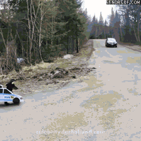 Gif Dump - Part 34. Previous dumps 33: /Gif+dump+part+33/funny-gifs/5540438/ 32: /Gif+dump+part+32/funny-gifs/5533597/ 31: /Gif+dump+part+31/funny-gifs/5525943/