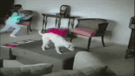 Gif Dump - Part 32. .. Monsoon be like