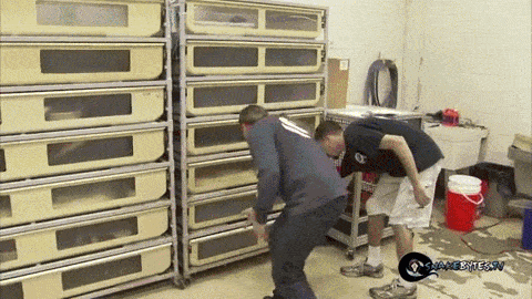 Gif Dump - Part 29. Previous dumps: 28: /Gif+dump+part+28/funny-gifs/5507450/ 27: /Gif+dump+part+27/funny-gifs/5504396/ 26: /Gif+dump+part+26/funny-gifs/5496923