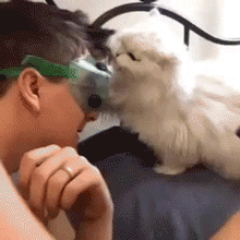 Gif Dump - Part 29. Previous dumps: 28: /Gif+dump+part+28/funny-gifs/5507450/ 27: /Gif+dump+part+27/funny-gifs/5504396/ 26: /Gif+dump+part+26/funny-gifs/5496923