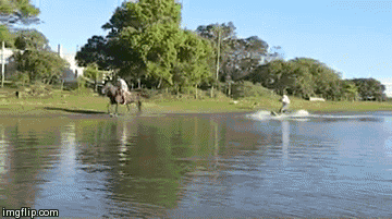 Gif Dump - Part 28. Sorry for the many pussy this time, I'll do more weird japan sht the next time! Previous dumps: 27: /Gif+dump+part+27/funny-gifs/5504396/ 26