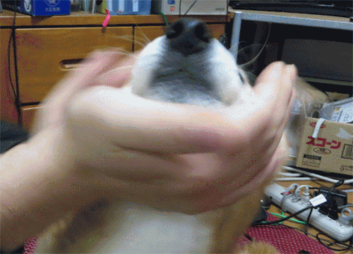 Gif Dump - Part 36. Wtf Japan.. source is Mirror's Edge. Previous dumps 35: /Gif+dump+part+35+asian+japanese/funny-gifs/5555182 34: /Gif+dump+part+34/funny-gifs