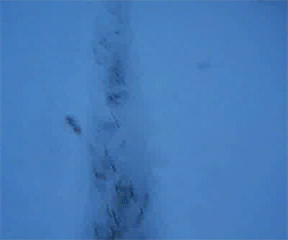 Gif Dump - Part 37. Previous dumps 36: /Gif+dump+part+36/funny-gifs/5562609/ 35: /Gif+dump+part+35+asian+japanese/funny-gifs/5555182 34: /Gif+dump+part+34/funny