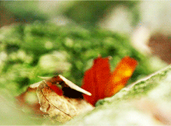 Gif Dump - Part 31. Let the weekend begin! If you don't get this then you aren't from the '90's. Previous dumps: 30: /Gif+dump+part+30+huge/funny-gifs/5519457/ 