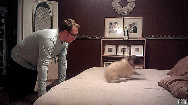 Gif Dump - Part 8. It's been a while I've posted an other dump, but here's dump 8! Enjoy! Sorry for boobs. .. Wow, she looks just like her father.