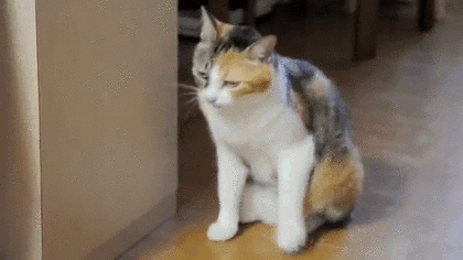 Gif Dump - Part 21. .