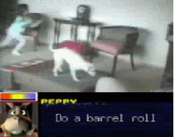 gifs. my favorite .gif of the year so far..