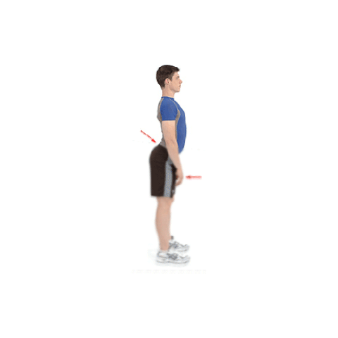 Good posture. Need some help with posture, well here ya go. Source was from kingsleyyy.tumblr.com/ also for word of the day famulus \FAM-yuh-luhs \ , noun 1. a 