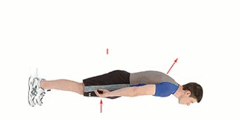 Good posture. Need some help with posture, well here ya go. Source was from kingsleyyy.tumblr.com/ also for word of the day famulus \FAM-yuh-luhs \ , noun 1. a 