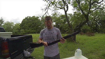 Guns_d402ed_5417490.gif