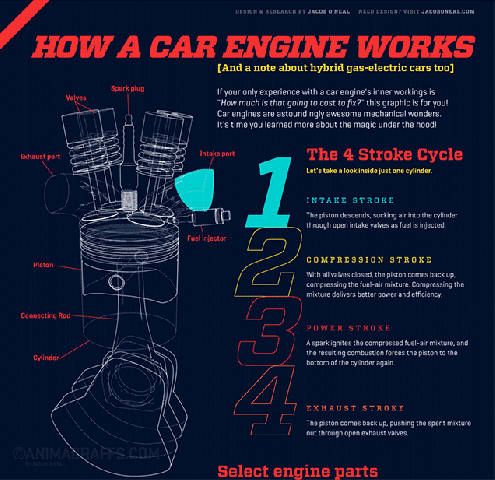Knowledge is Power. this will get more favorites than thumbs. spatial naturalist visualizing understanding the world living in things and reading Pt nature musi