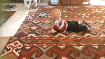 OMFG DOGS. omfgdogs.com/.